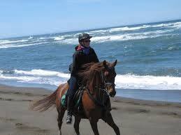 horse riding - Realm Tours