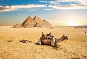 Camel And Pyramids 2021 08 26 17 20 18 Utc